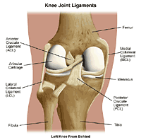 knee ligament recontruction