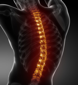 Las lesiones de la médula espinal son devastadores pero no Terminal